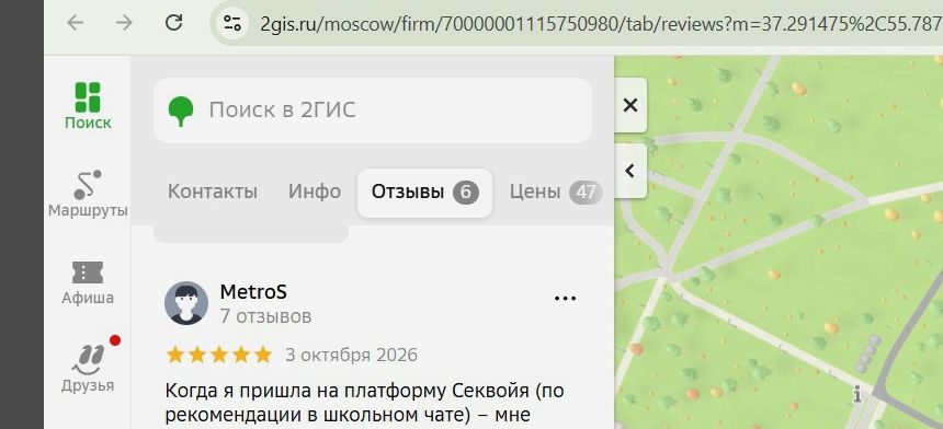 Отзыв: MetroS